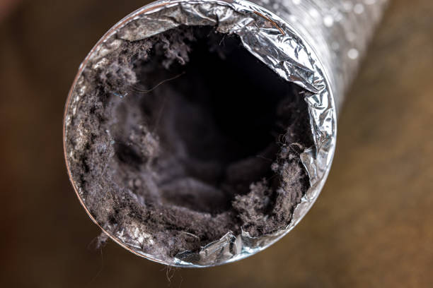 Best Industrial Air Duct Cleaning in Casa Grande, AZ