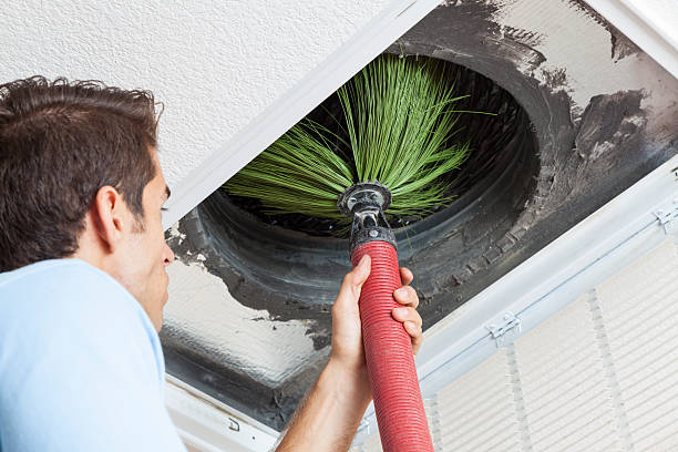 Best Mold and Mildew Removal from Ducts in Casa Grande, AZ